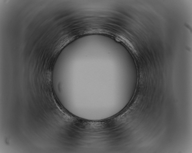 X0000091520849200709071015