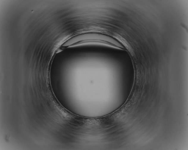 X0000091520850200709071015