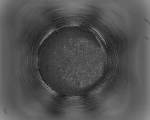 X0000091520851200709071015