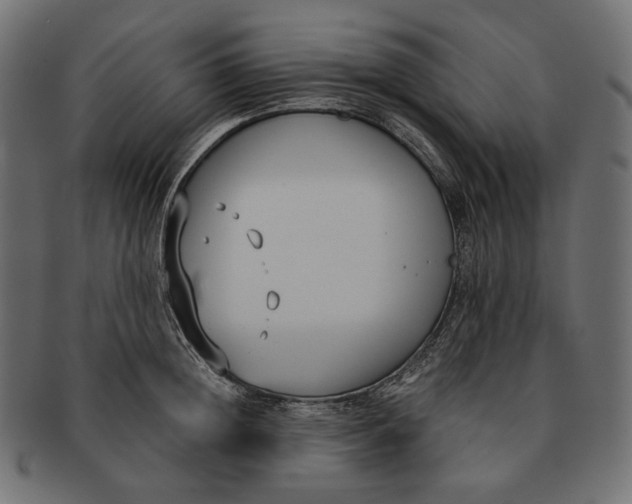 X0000091520852200709071015