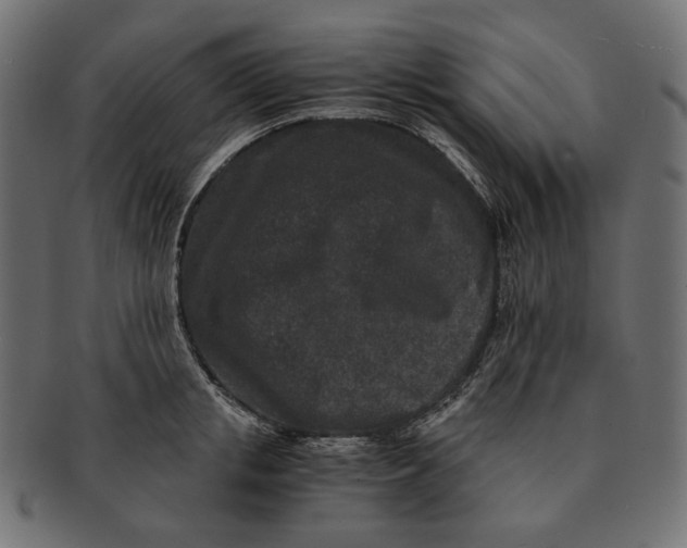 X0000091520853200709071015