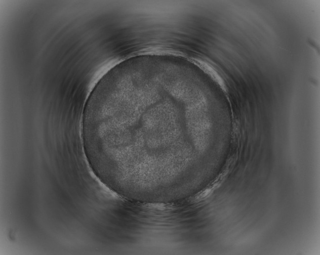 X0000091520855200709071015