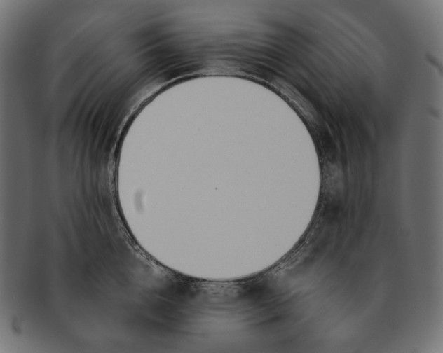 X0000091520856200709071015