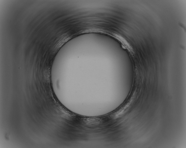 X0000091520857200709071015