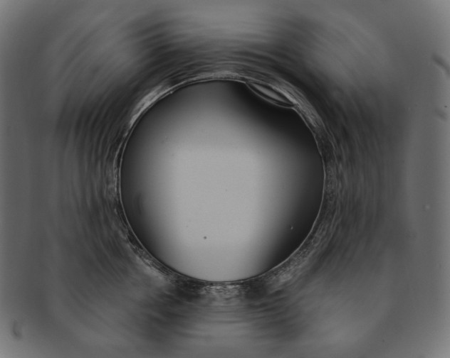 X0000091520858200709071015