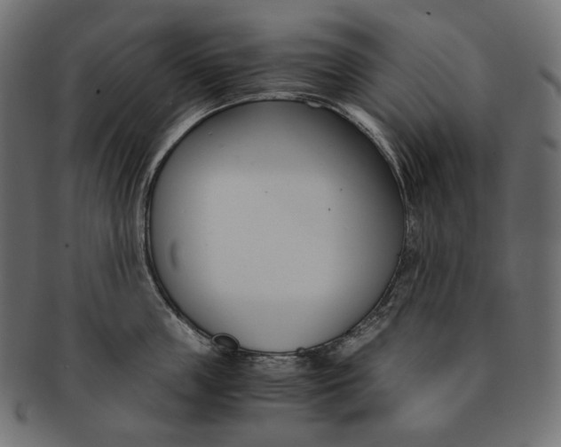 X0000091520859200709071015