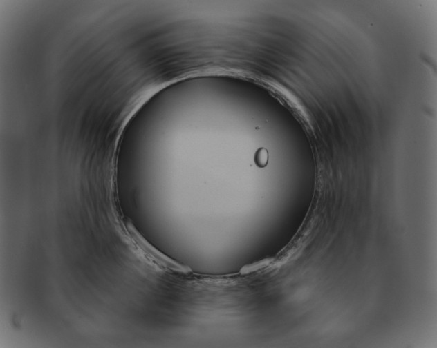 X0000091520860200709071015