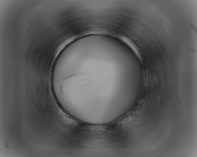 X0000091520861200709071015