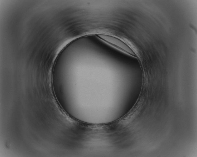 X0000091520862200709071015