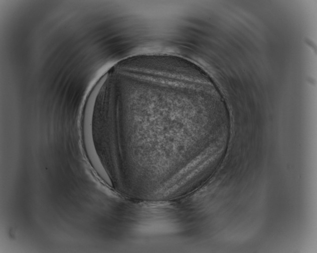 X0000091520864200709071015