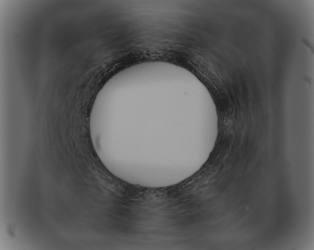 X0000091520865200709071014