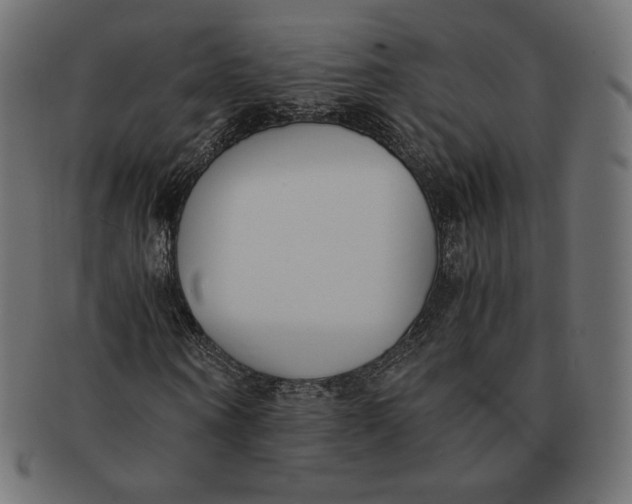 X0000091520866200709071014