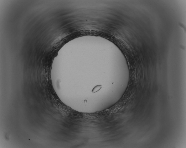 X0000091520870200709071014