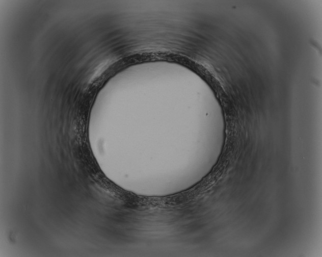 X0000091520871200709071014