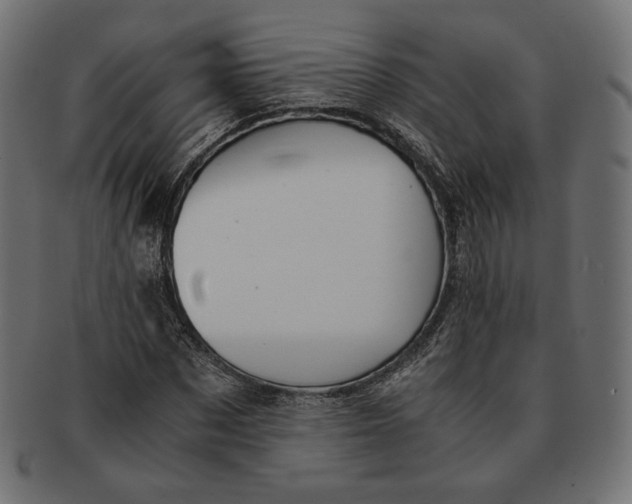 X0000091520873200709071014