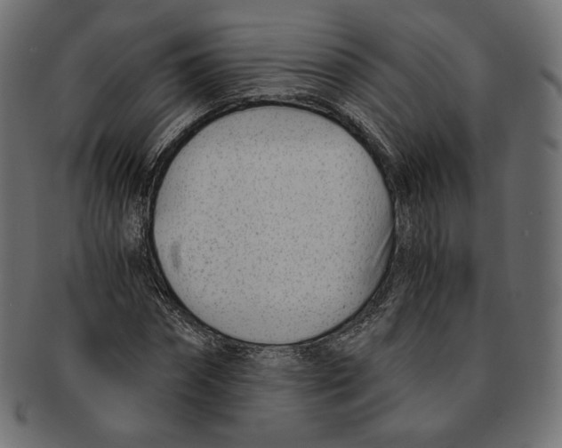 X0000091520874200709071014