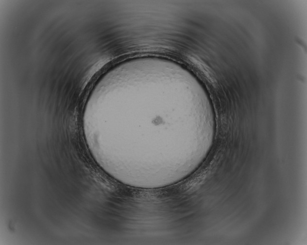 X0000091520875200709071014