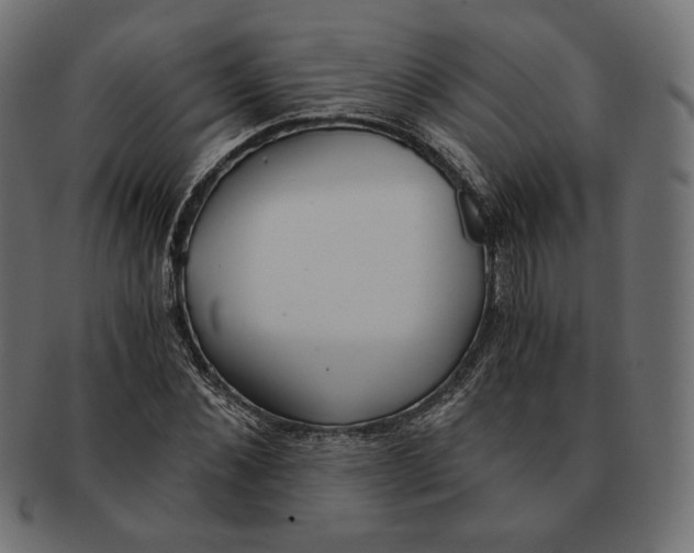 X0000091520876200709071014