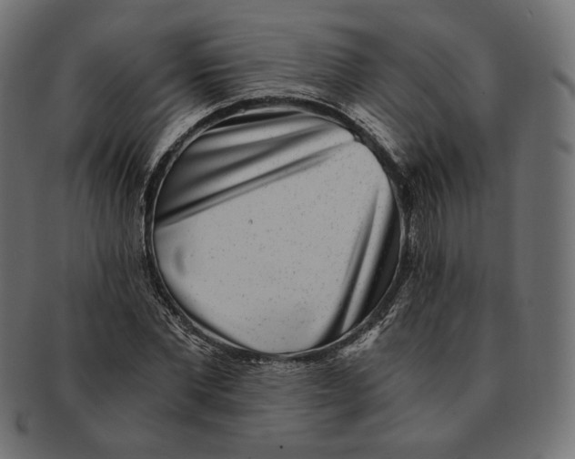 X0000091520877200709071014