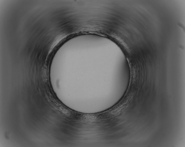 X0000091520878200709071014