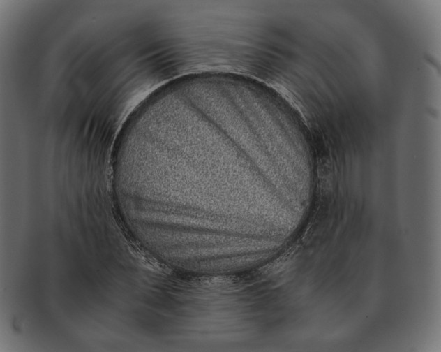 X0000091520879200709071014