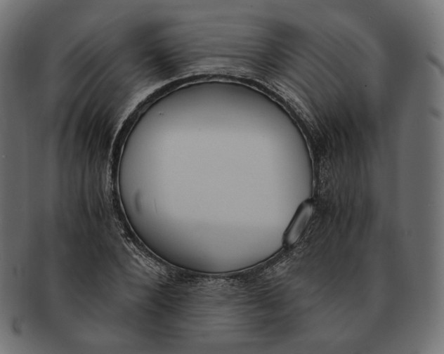 X0000091520880200709071014