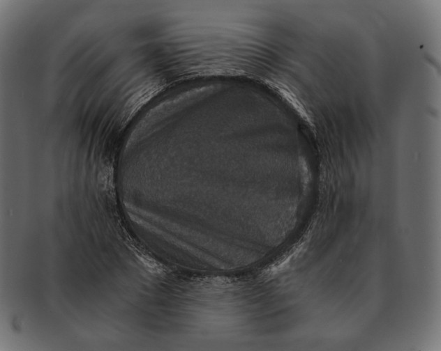 X0000091520881200709071014