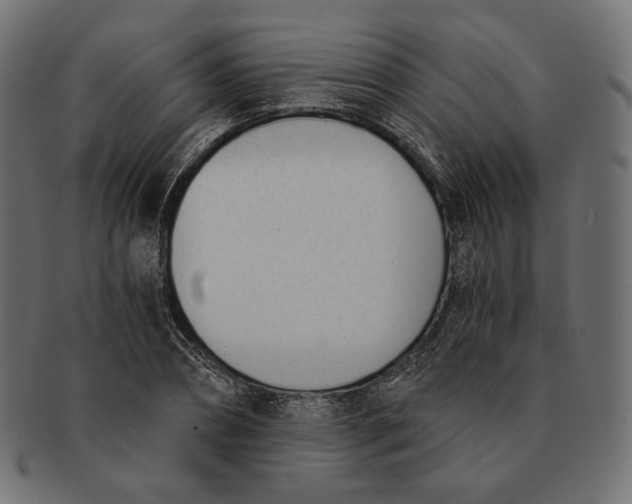 X0000091520882200709071014