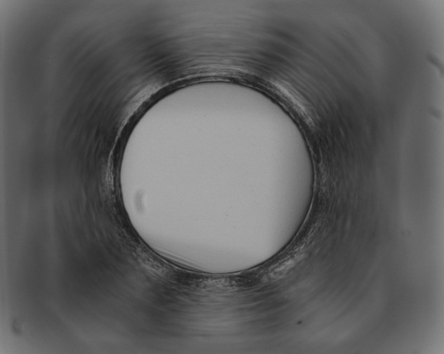 X0000091520883200709071014