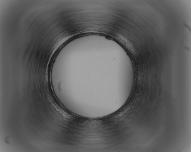 X0000091520884200709071014