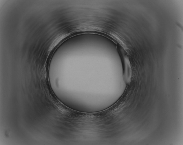 X0000091520885200709071014