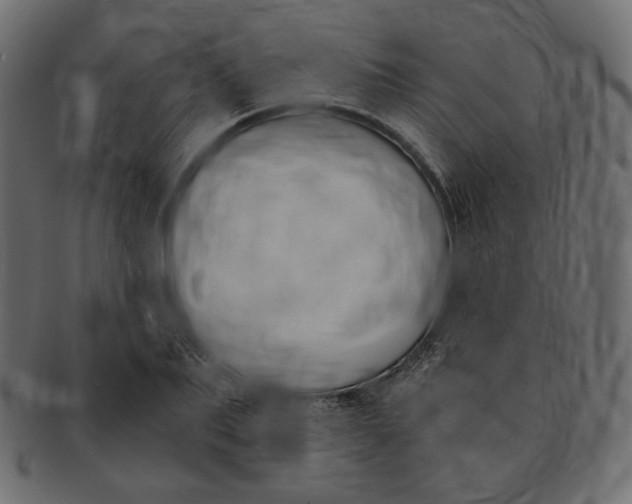 X0000091520887200709071014