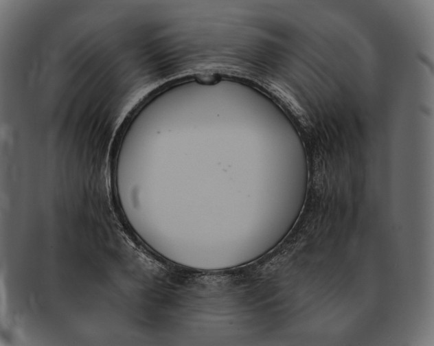 X0000091520888200709071014