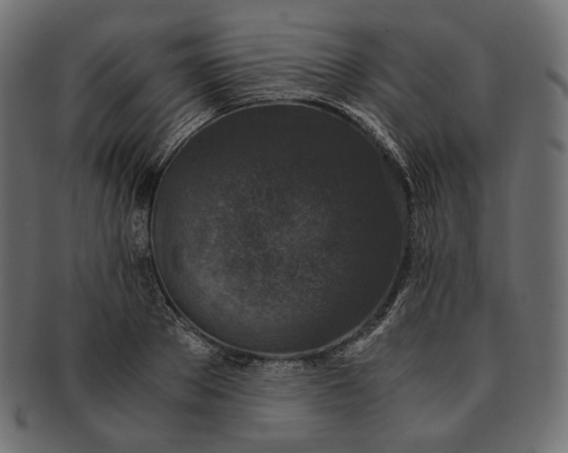 X0000091520889200709071014