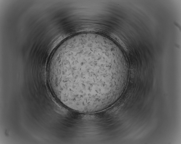 X0000091520890200709071014