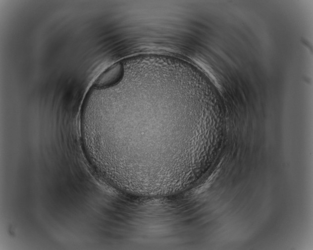 X0000091520891200709071014