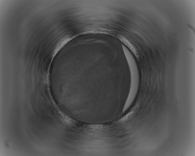 X0000091520893200709071014