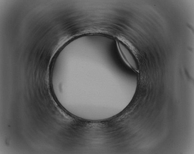 X0000091520894200709071014