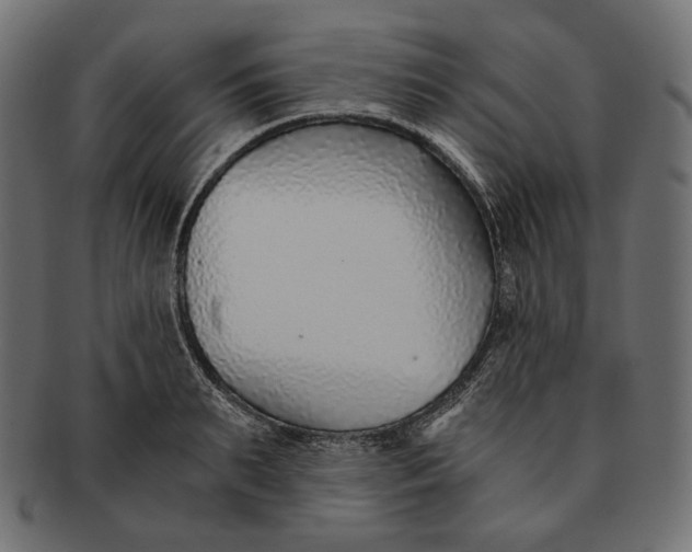 X0000091520895200709071014