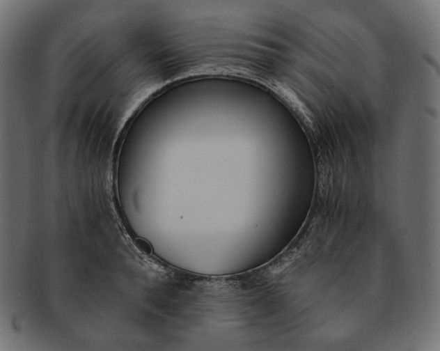 X0000091520896200709071014