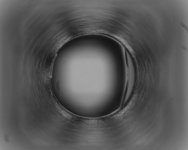 X0000091520897200709071014