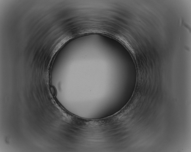 X0000091520898200709071014