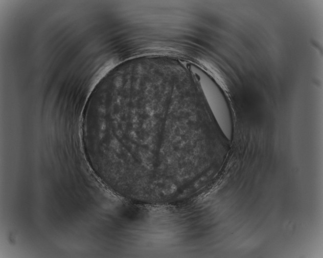 X0000091520899200709071014