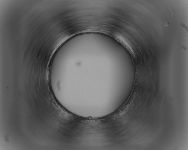 X0000091520900200709071014