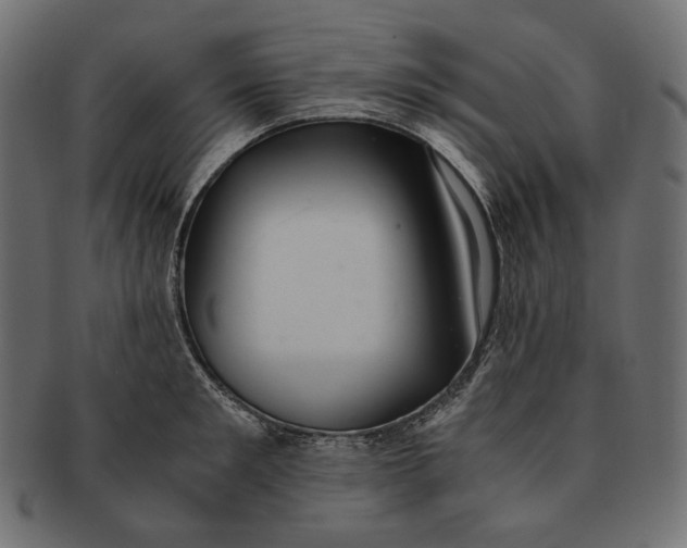 X0000091520901200709071014