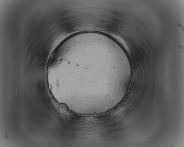 X0000091520903200709071014