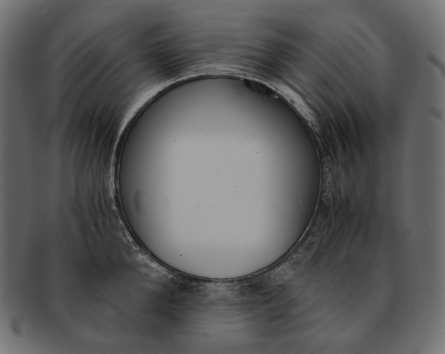 X0000091520904200709071014