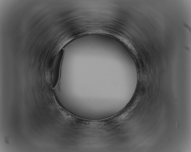 X0000091520905200709071014