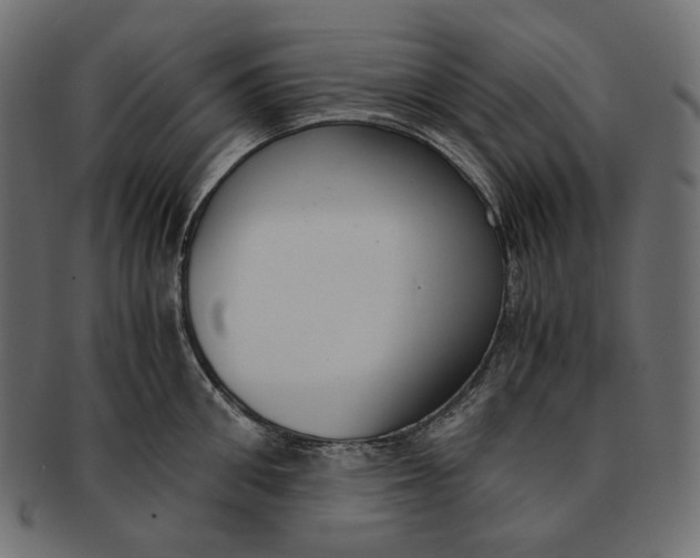 X0000091520906200709071014