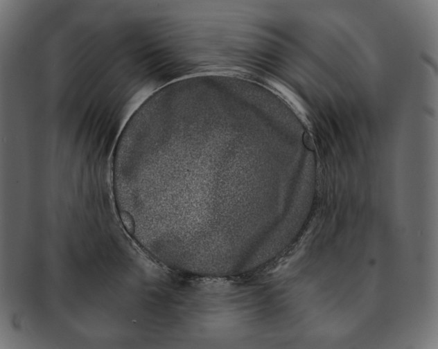 X0000091520907200709071014